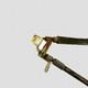 Suzuki Grand Vitara Ii 2007 Air Suspension Line Pipe Hose 55305n Eqw25594