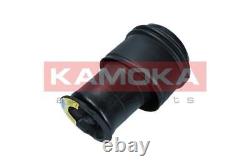 Suspension à air Kamoka 2079024 pour Citroën C4 Grand Picasso I